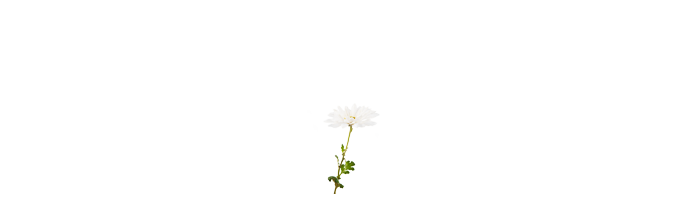 大连免费集体海葬